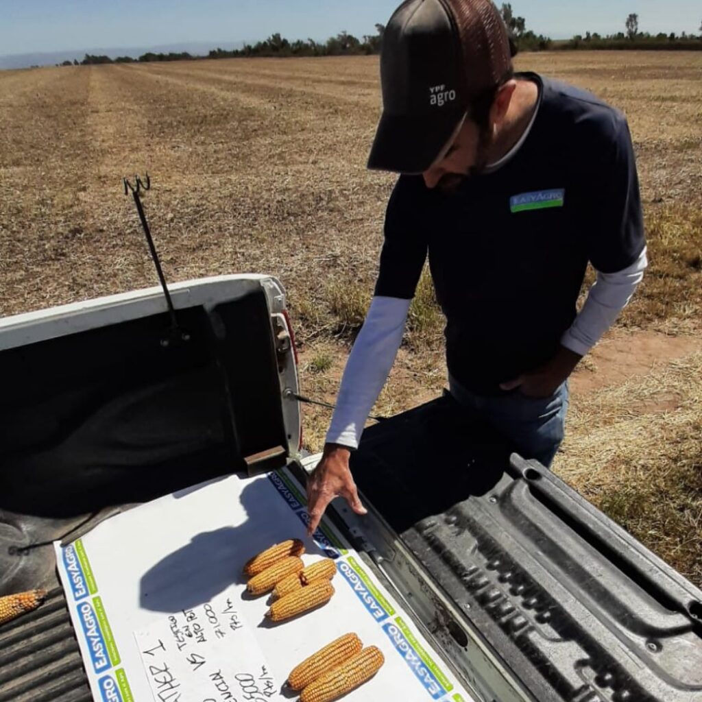 En nuestra visita a los campos de la familia Busilli en la localidad de Elena, pudimos constatar los resultados exitosos del manejo variable implementado a partir de 2021, utilizando el servicio EasyScann.