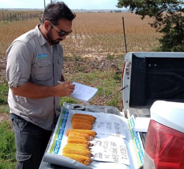 Exitoso manejo variable en Elena-Córdoba en los campos de la familia Busilli