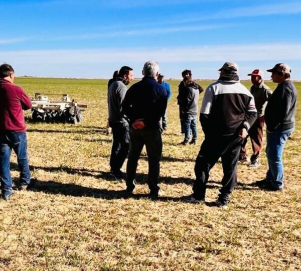 En un esfuerzo por innovar en la agricultura, la Estancia Don Benjamín, ubicada en el sur de Córdoba, está a la vanguardia al implementar la agricultura de precisión en sus campos de producción mixta. El enfoque de precisión busca maximizar la eficiencia y la sostenibilidad en la producción agropecuaria.