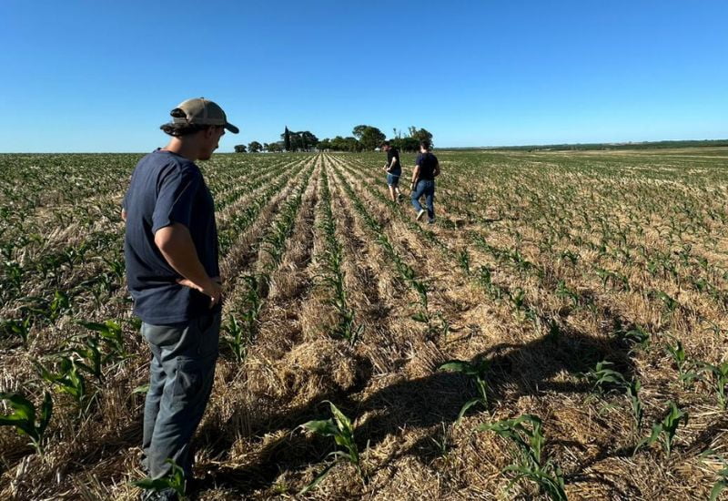 EasyAgro Acompaña al Productor Eugui en Dolores, Uruguay en una Revolución Agrícola