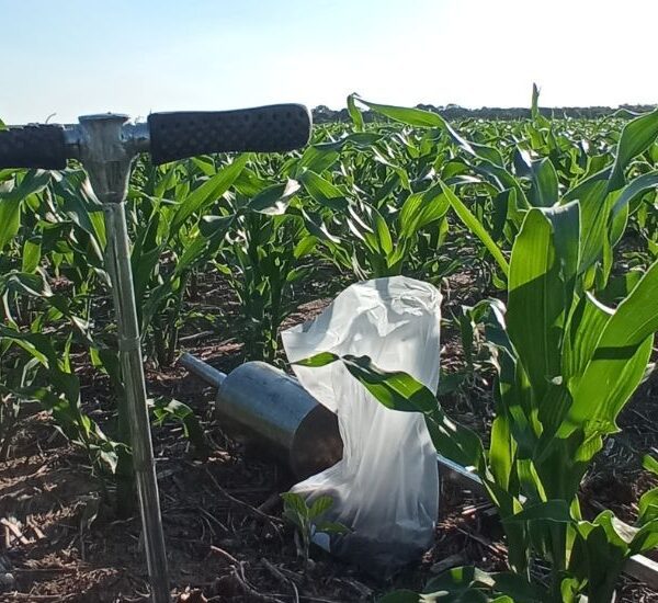 EasyAgro Impulsa la Agricultura en Santiago Temple-Cba con Análisis de Suelo Personalizados