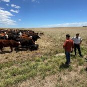 EasyAgro en el Establecimiento El Trébol, San Jorge, Uruguay