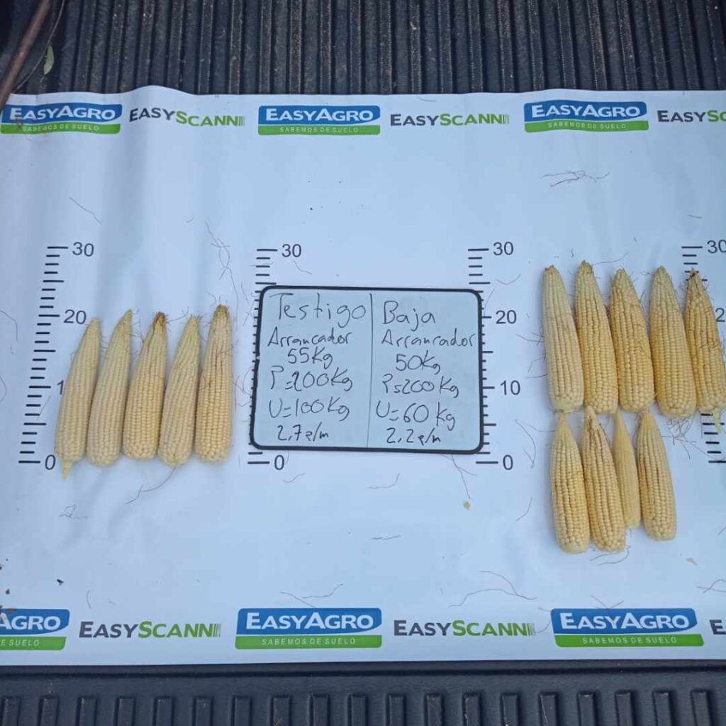 Experiencia EasyAgro de Freddy Calvi