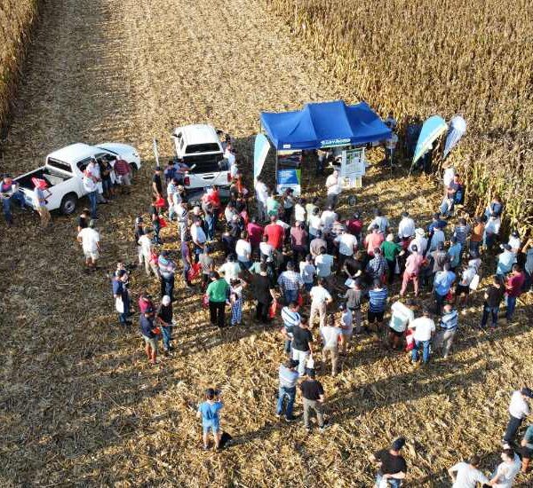 Jornadas de Maíz en Justiniano Posse: Un Análisis Profundo de Prácticas Agrícolas