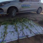Agricultura Tradicional vs. Precisión: Compactación del Suelo