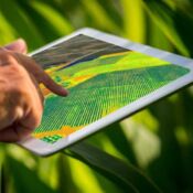 Cómo determinar si un campo necesita manejo variable