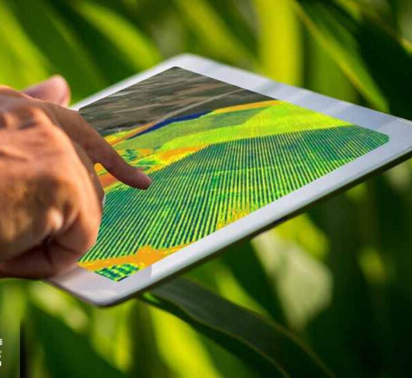 Cómo determinar si un campo necesita manejo variable