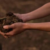 Compactación de Suelos: Causas Impactos y Soluciones en la Agricultura
