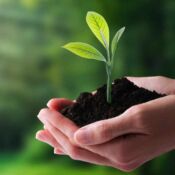 Compromiso con el Medio Ambiente