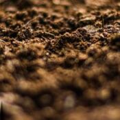Calidad estructural de suelos bajo siembra directa y la agricultura de precisión