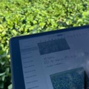 La Importancia de los Datos en la Agricultura de Precisión