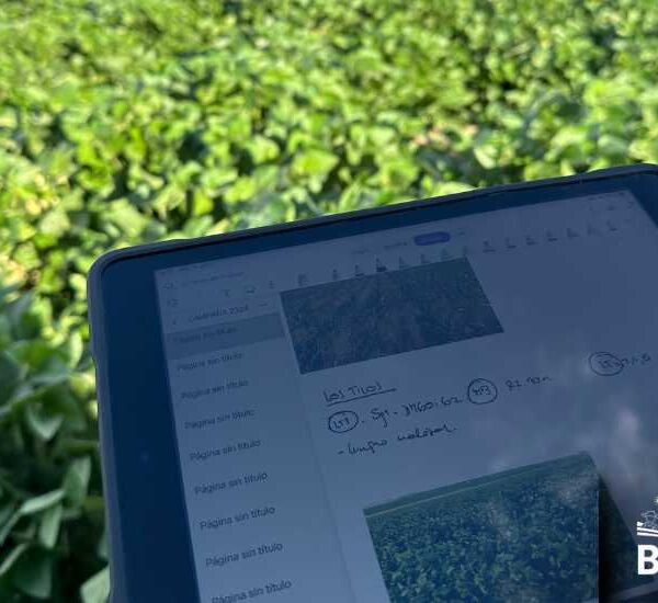La Importancia de los Datos en la Agricultura de Precisión