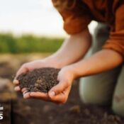 Conservación del Suelo y Agricultura de Precisión