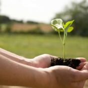 Reducir la huella de carbono en el campo con los servicios de EasyAgro
