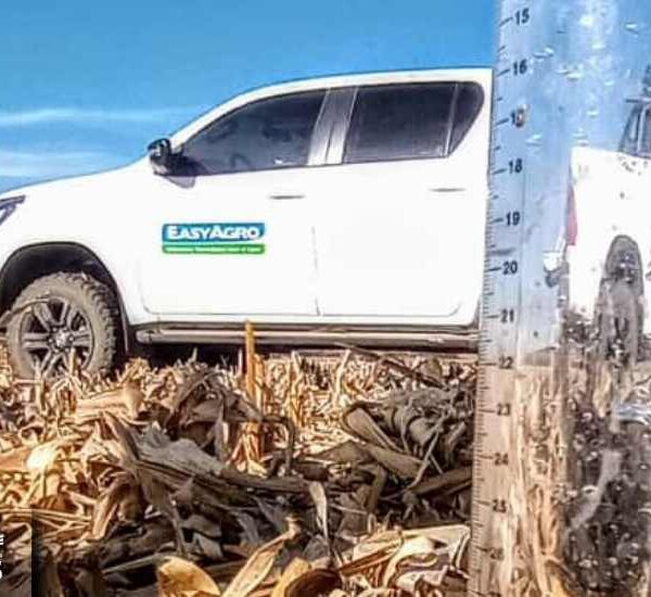 Conocer la infiltración del suelo: clave para mejorar la productividad agrícola