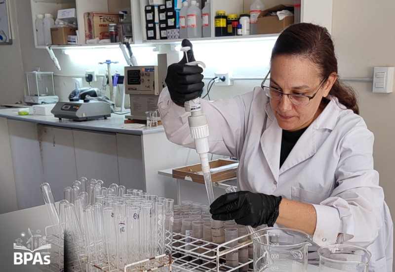 El Fósforo: Nutriente Clave para el Crecimiento de los Cultivos