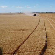 Prácticas de Manejo del Suelo para una Agricultura Sostenible