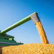 Aumentando la Eficiencia en el Uso de Fertilizantes en Agricultura