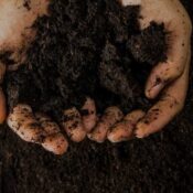La materia orgánica como aliada para una agricultura más sostenible