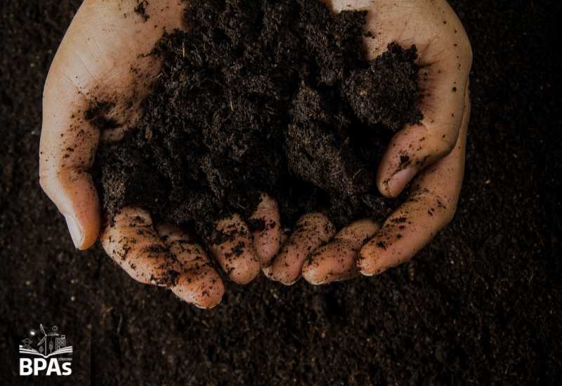 La materia orgánica como aliada para una agricultura más sostenible