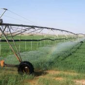 Importancia de Analizar la Calidad del Agua de Riego en la Agricultura