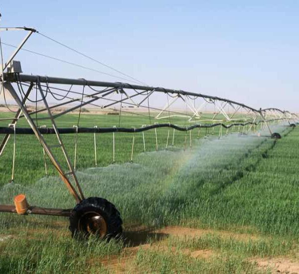 Importancia de Analizar la Calidad del Agua de Riego en la Agricultura