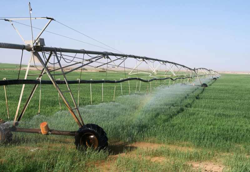 Importancia de Analizar la Calidad del Agua de Riego en la Agricultura
