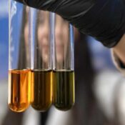 Materia orgánica y carbono: la base de un suelo fértil y resiliente