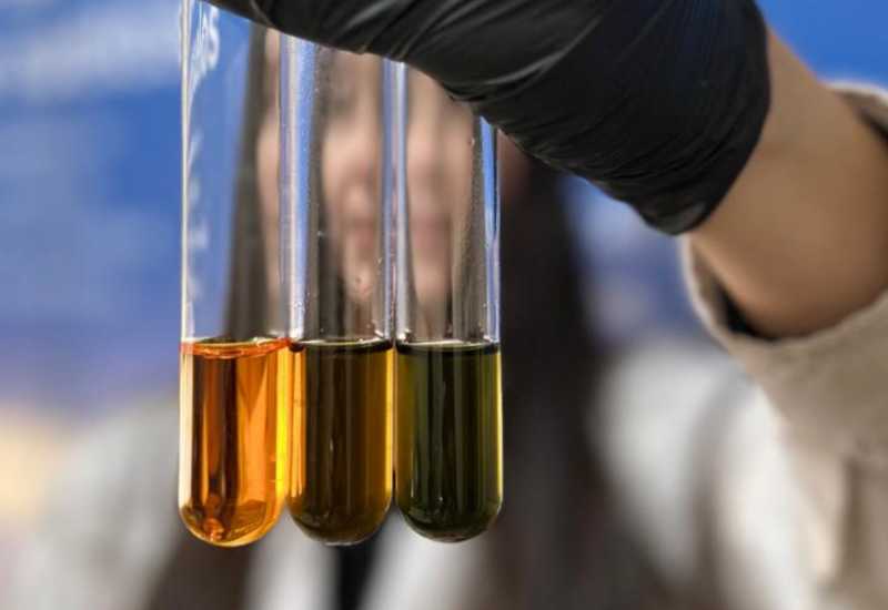 Materia orgánica y carbono: la base de un suelo fértil y resiliente