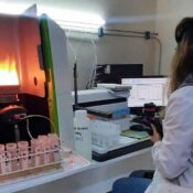 pH del suelo: Clave para la fertilidad y el éxito agrícola