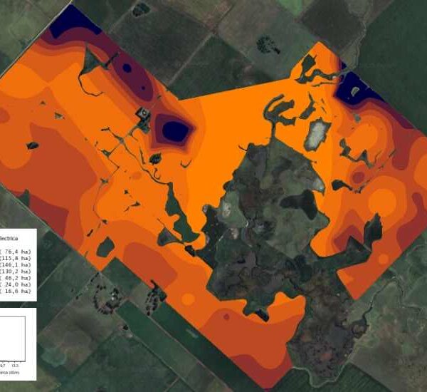 Conductividad eléctrica del suelo: qué es, cómo se mide y por qué es clave para la agricultura