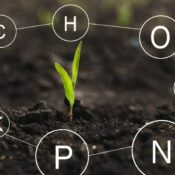 Disponibilidad de nutrientes en el suelo