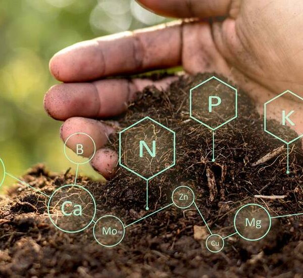 La materia orgánica: una aliada clave para una agricultura más sostenible