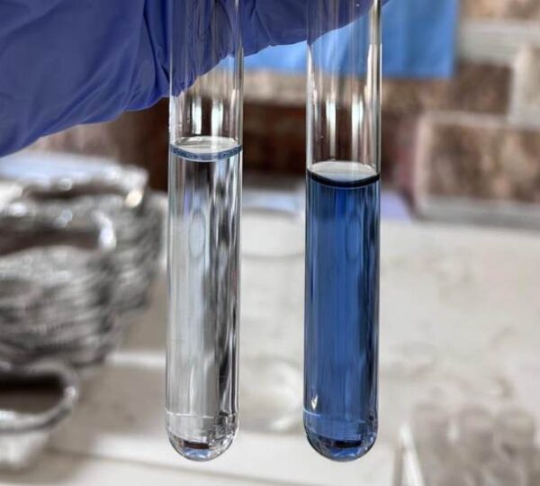 Manejo eficiente del fósforo: clave para rendimientos altos y agricultura sostenible