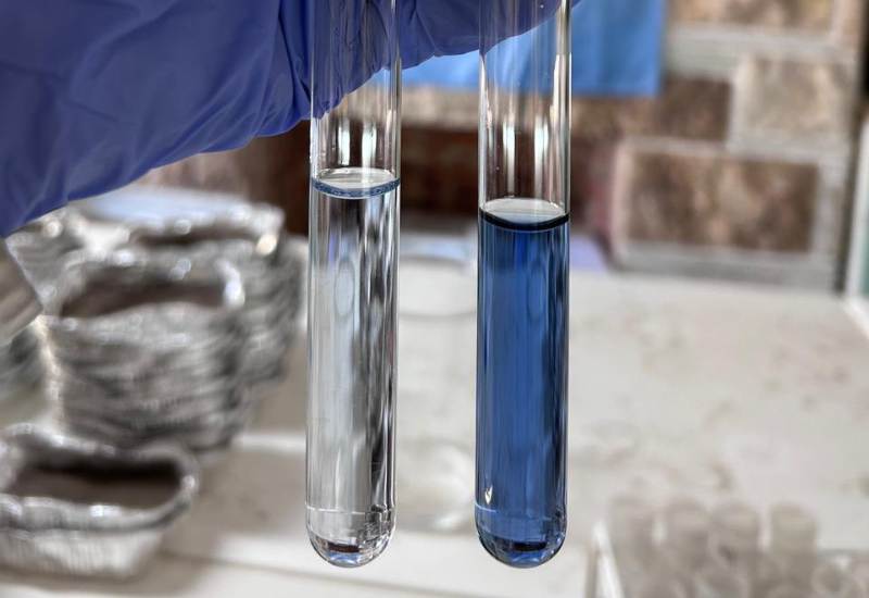 Manejo eficiente del fósforo: clave para rendimientos altos y agricultura sostenible