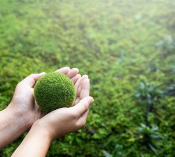 Agricultura de precisión: aliada clave para reducir la huella de carbono