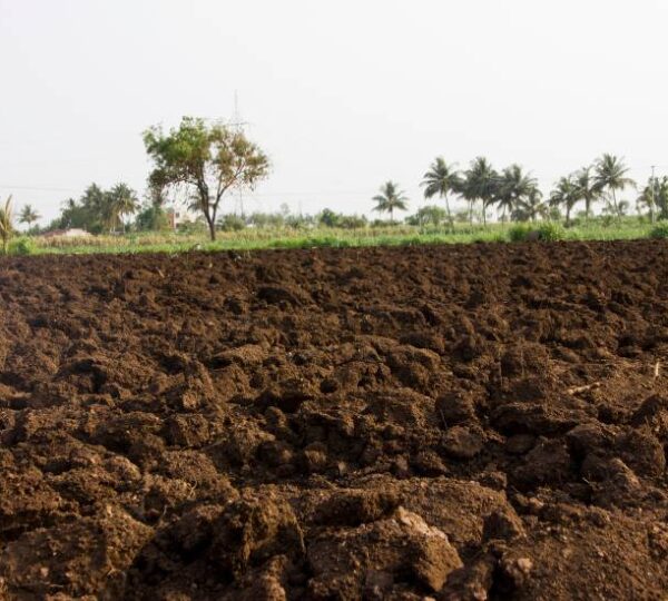 Compactación de suelos: causas, consecuencias y estrategias para una producción más eficiente