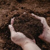 La CIC no solo define la fertilidad del suelo, sino también el potencial productivo de cada lote.