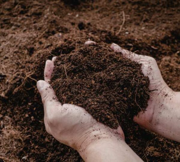 La CIC no solo define la fertilidad del suelo, sino también el potencial productivo de cada lote.