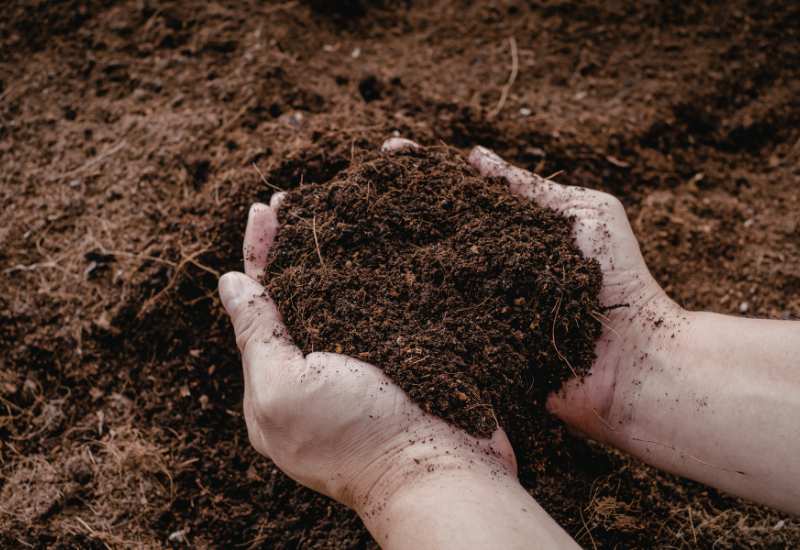 La CIC no solo define la fertilidad del suelo, sino también el potencial productivo de cada lote.