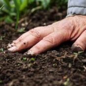 Más materia orgánica, más rendimiento y mayor estabilidad productiva