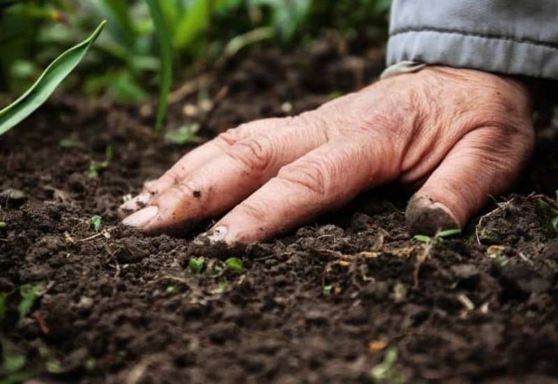 Más materia orgánica, más rendimiento y mayor estabilidad productiva