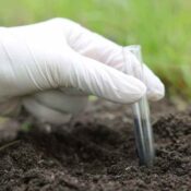 Biofertilidad: el sistema biológico que alimenta al cultivo