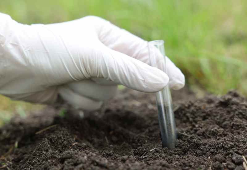 Catering Nutricional: Los microorganismos que alimentan a tu cultivo desde la raíz