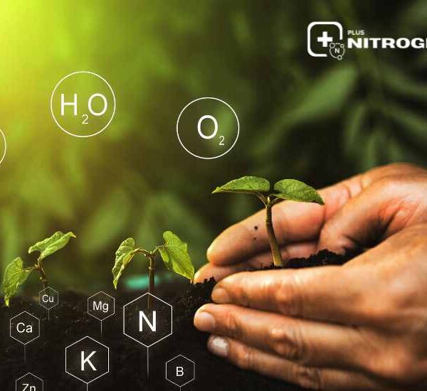Complemento +Nitrógeno: Información precisa para una gestión más eficiente del nitrógeno