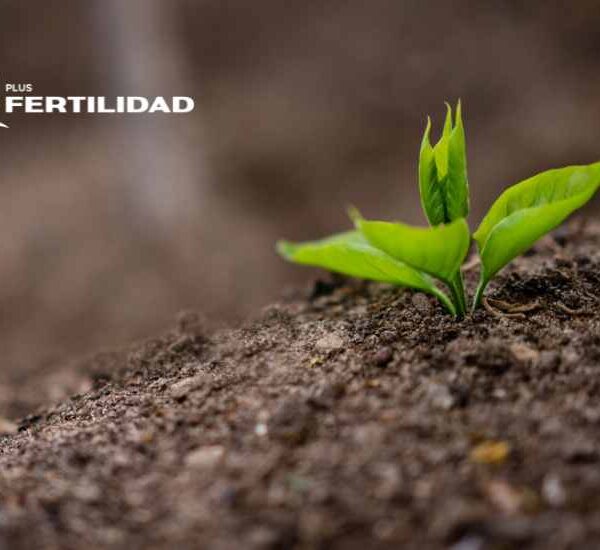 +Fertilidad: Monitoreo estratégico  de variables del suelo