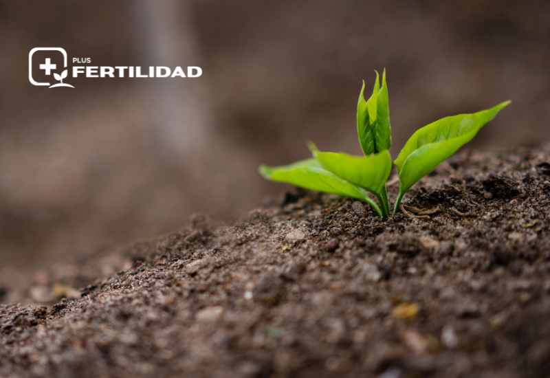 +Fertilidad: Monitoreo estratégico de variables del suelo