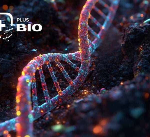 +Bio: Una nueva capa de información sobre el sistema vivo del suelo.