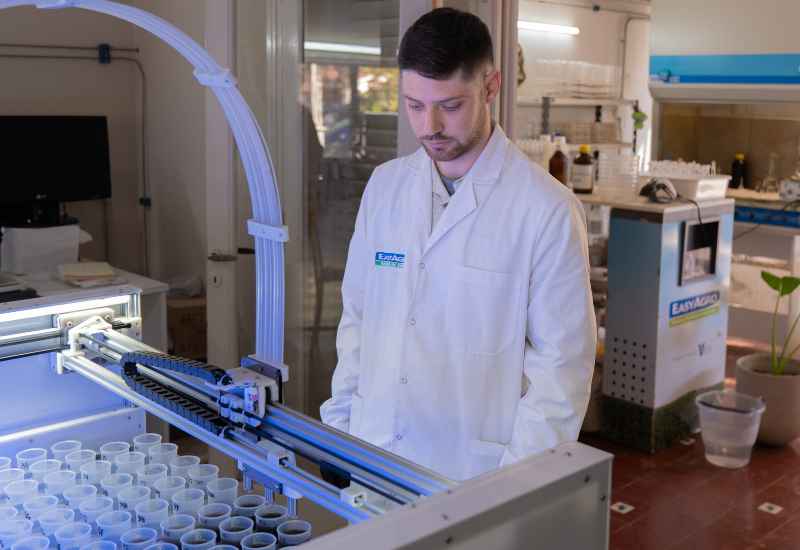 Disponibilidad de nutrientes en el suelo: claves para una fertilización más eficiente