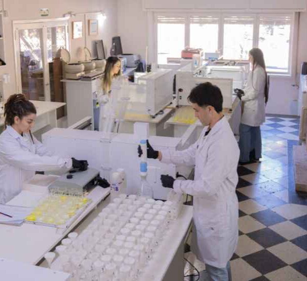 Disponibilidad de nutrientes en el suelo: qué es y cómo mejorar el rendimiento de tus cultivos